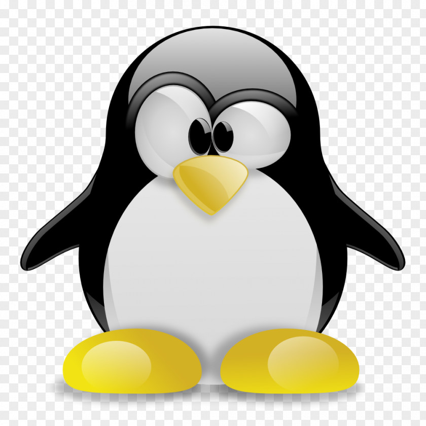 Linux Tux Racer Typing Penguin PNG
