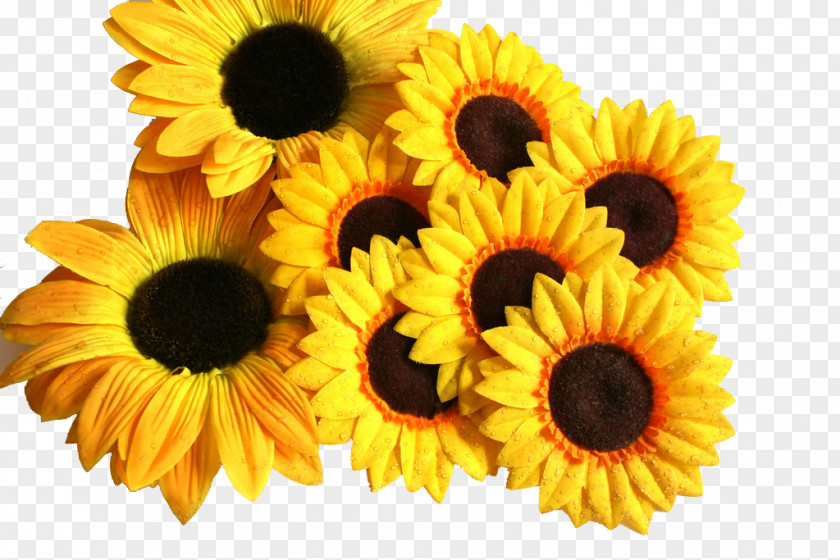 Sunflower Vase With Three Sunflowers Paper Common PNG