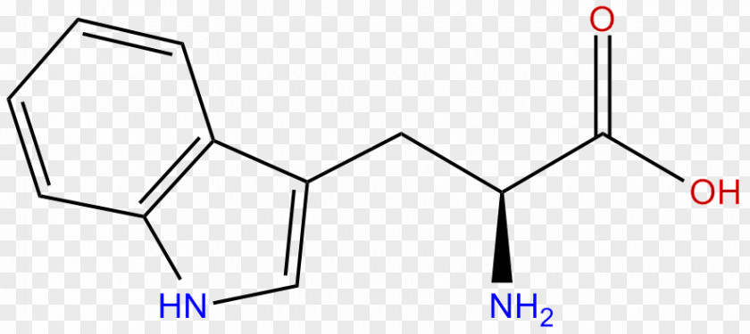 Tryptophan Amino Acid Serotonin Tyrosine PNG