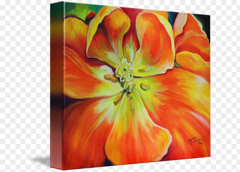 Tulip Still Life Photography Acrylic Paint Netherlands PNG