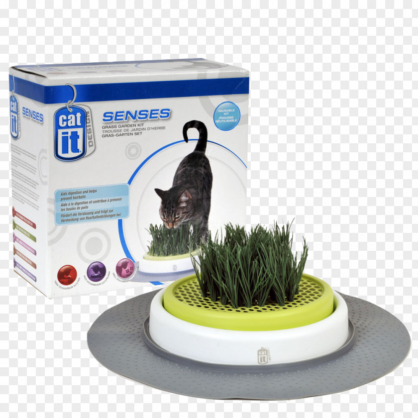 Cat Lawn Garden Nekojam Singapore Online Pet Store Grass PNG