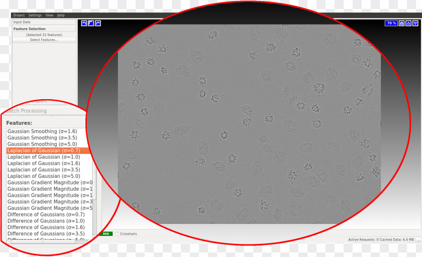 Classification And Labelling Screenshot Ilastik Label PNG