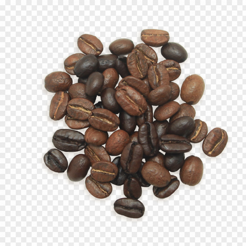 Coffee Arabic Jamaican Blue Mountain Cocoa Bean Commodity Nut Superfood PNG