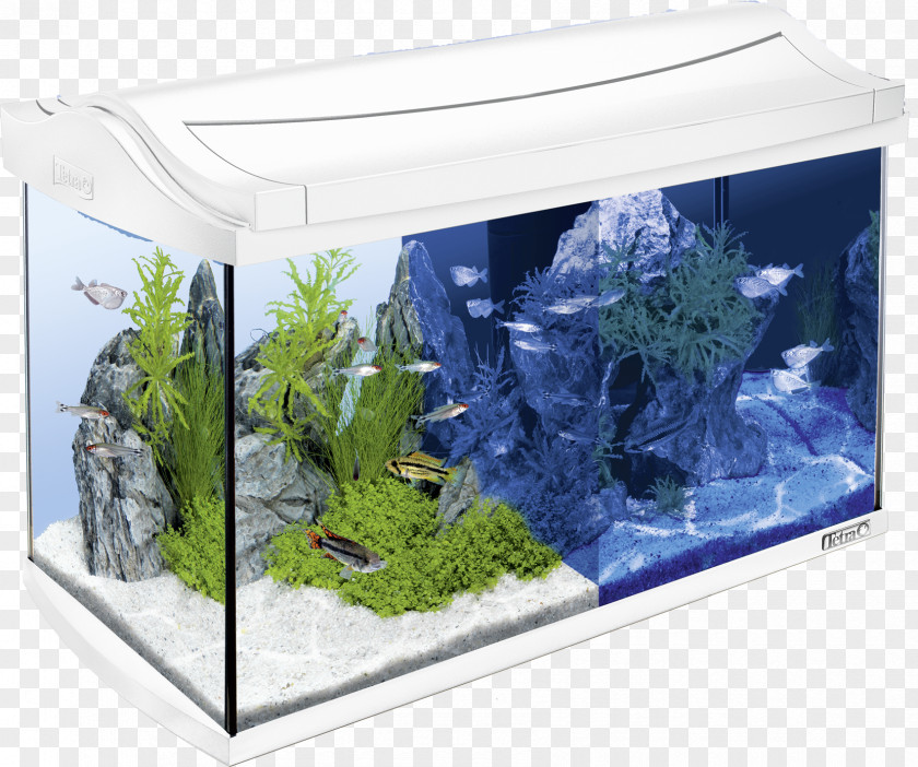 Fish Tank Tetra Light-emitting Diode LED Lamp Aquarium Innenfilter PNG