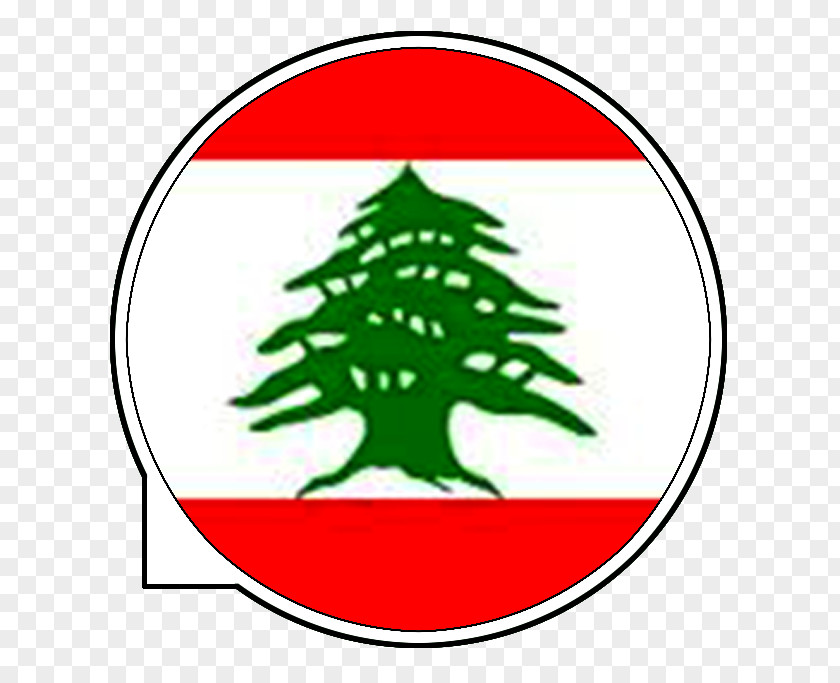 Flag Of Lebanon T-shirt Syria PNG