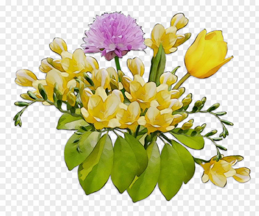 Image Clip Art Flower Photograph PNG