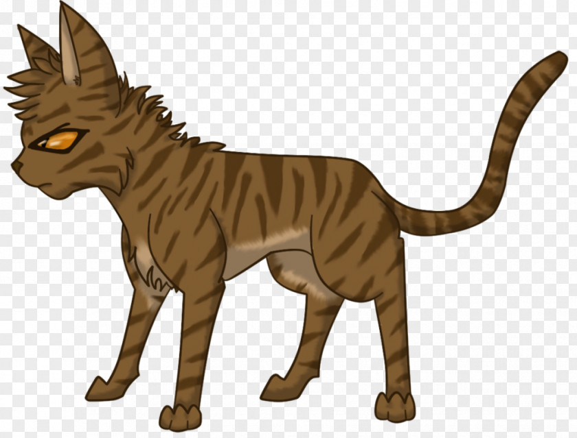 Cat Walk Cycle Goldenflower Animated Film Tawnypelt PNG