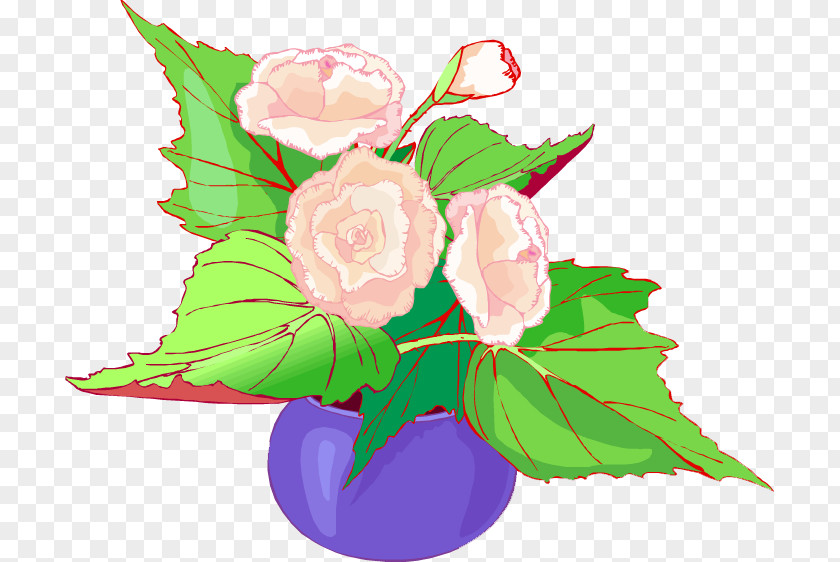 Flower Garden Roses Cabbage Rose Floral Design Cut Flowers Bouquet PNG
