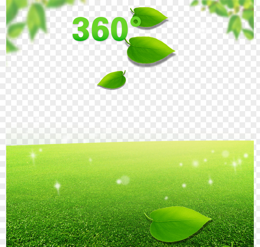 Green Leaves, Trees, Grass, Background Shorts Leggings Tmall Taobao PNG