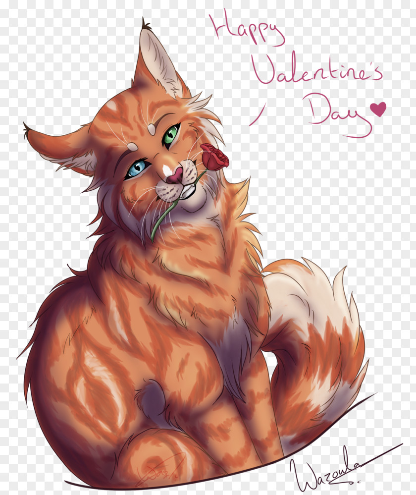 Kitten Whiskers Maine Coon Red Fox PNG
