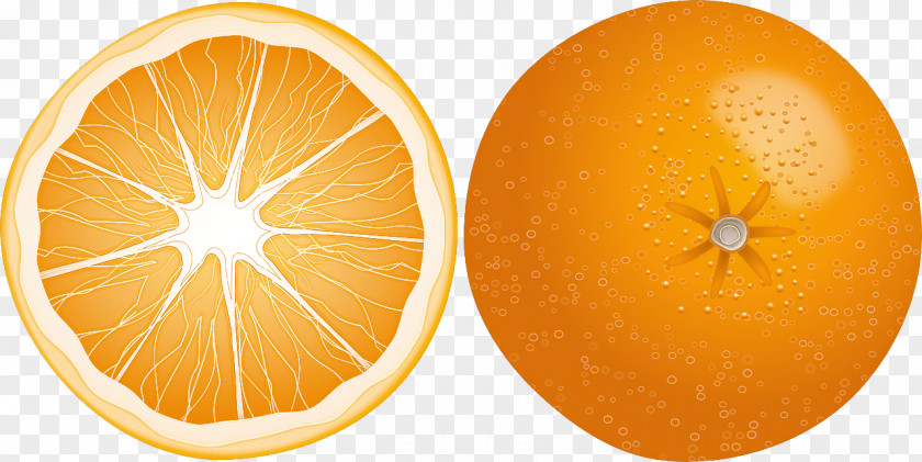 Orange PNG