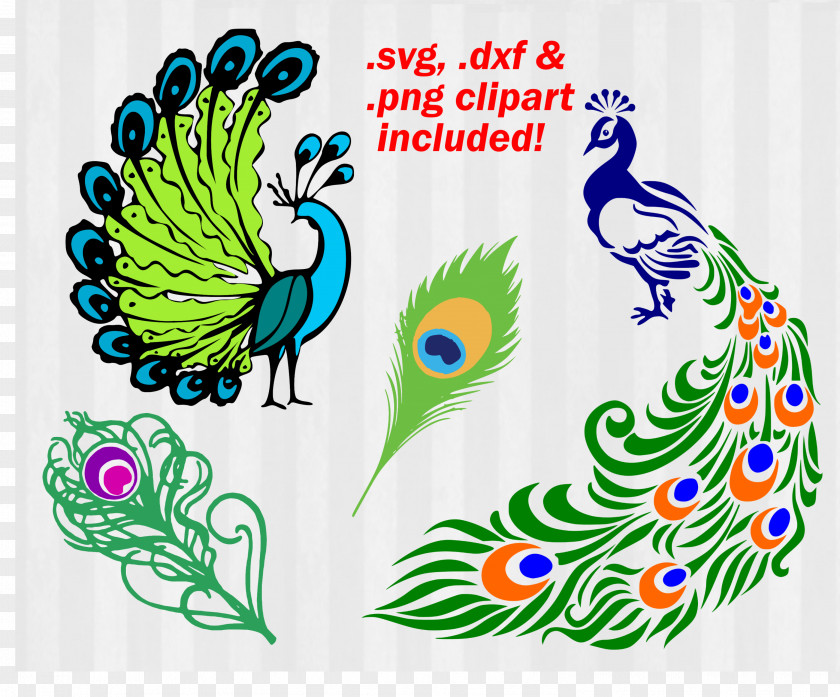Peacock Bird Peafowl AutoCAD DXF Clip Art PNG