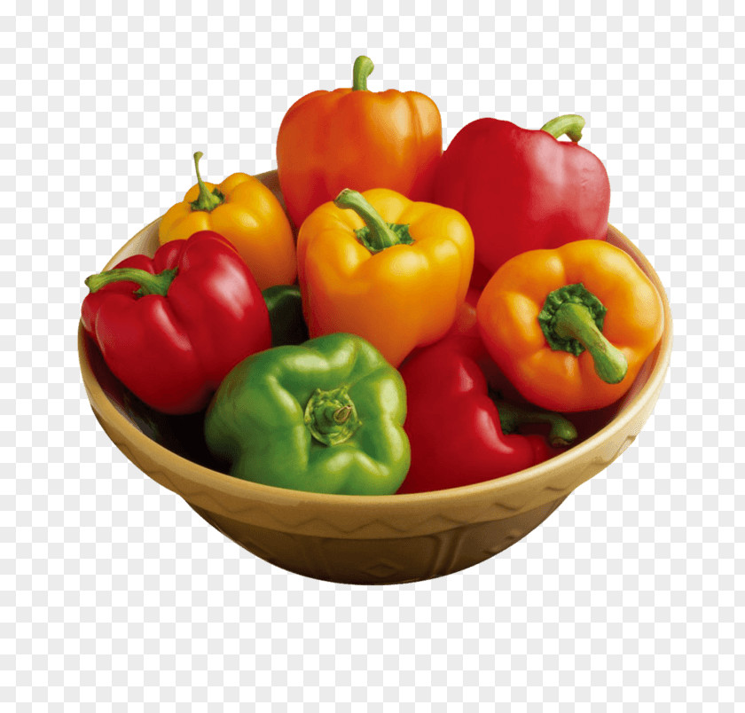 Renkli Biber Genetic Diversity Vegetable Chili Pepper Genetics Black PNG