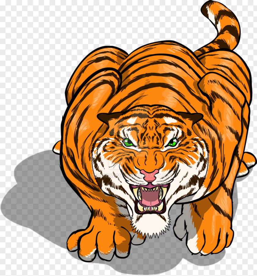 Tiger Whiskers Lion Cat PNG