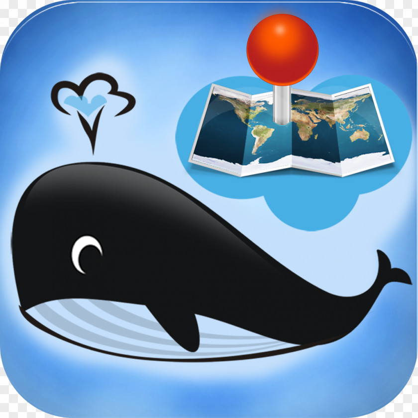 Dolphin Cetacea Poster Clip Art PNG