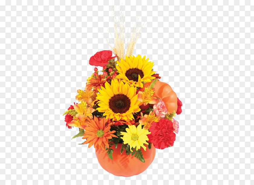 Flower Transvaal Daisy Floral Design Cut Flowers Common Sunflower PNG