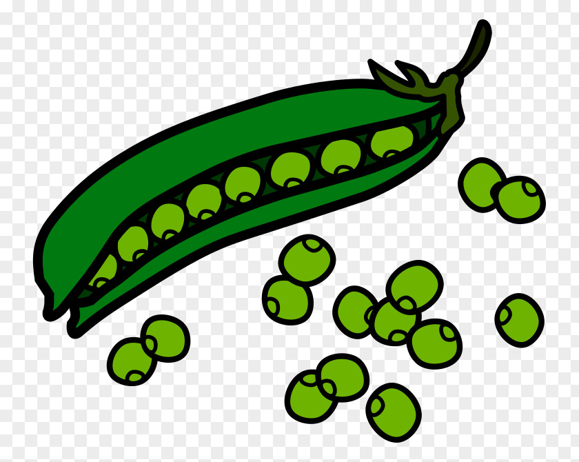 Peas Sweet Pea Vine Clip Art PNG