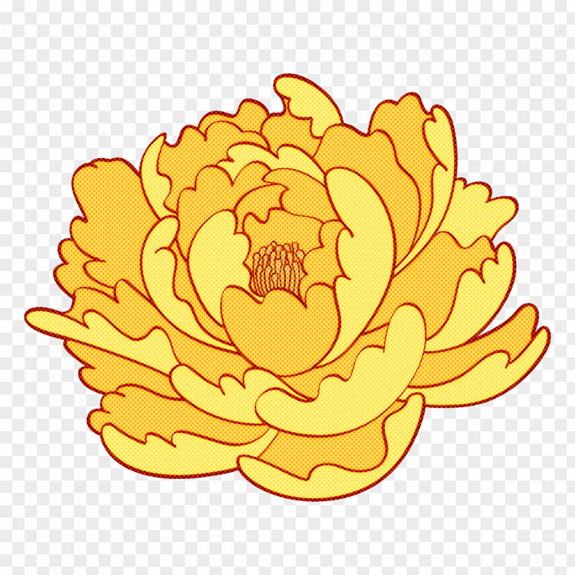 Yellow Flower Plant Petal PNG