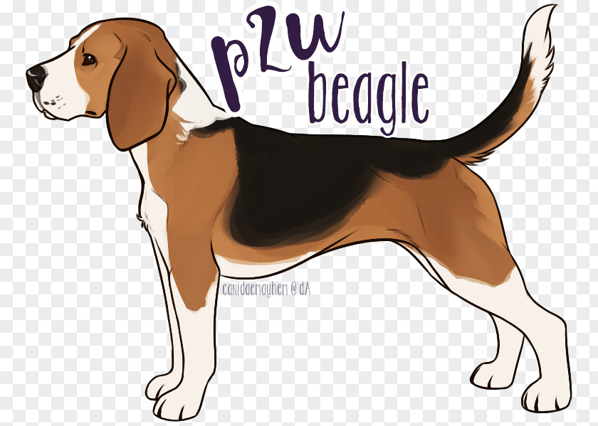Beagle Basset Puppies Treeing Walker Coonhound English Foxhound Harrier American PNG