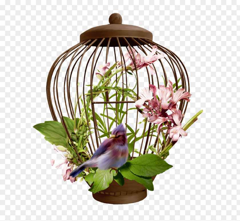 Cage Clipart Birdcage Centerblog PNG