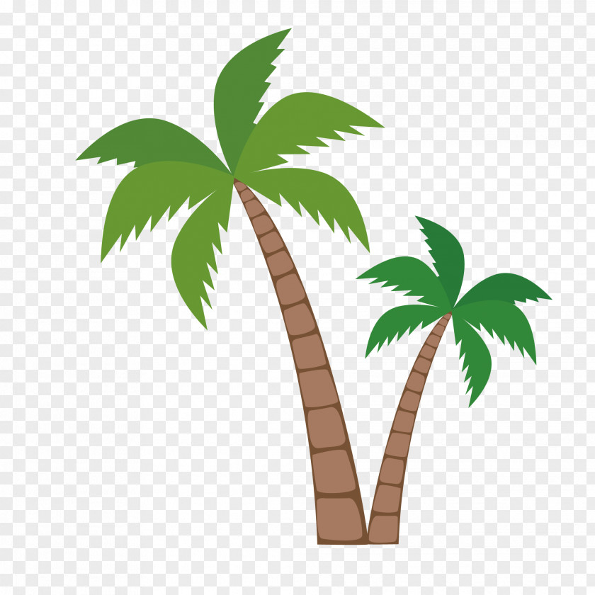 Coconut Clip Art Vector Graphics Palm Trees PNG