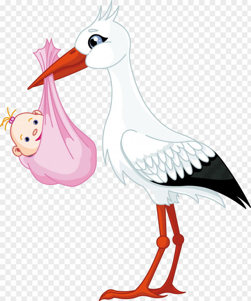 Cute Stork White Infant Child Clip Art PNG