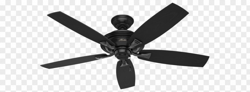 Fan Ceiling Fans Hunter Rainsford Lighting PNG