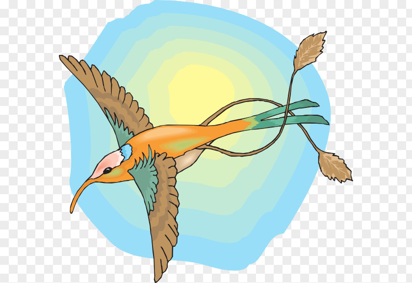 Hummingbird 9 Birds Wing Clip Art PNG