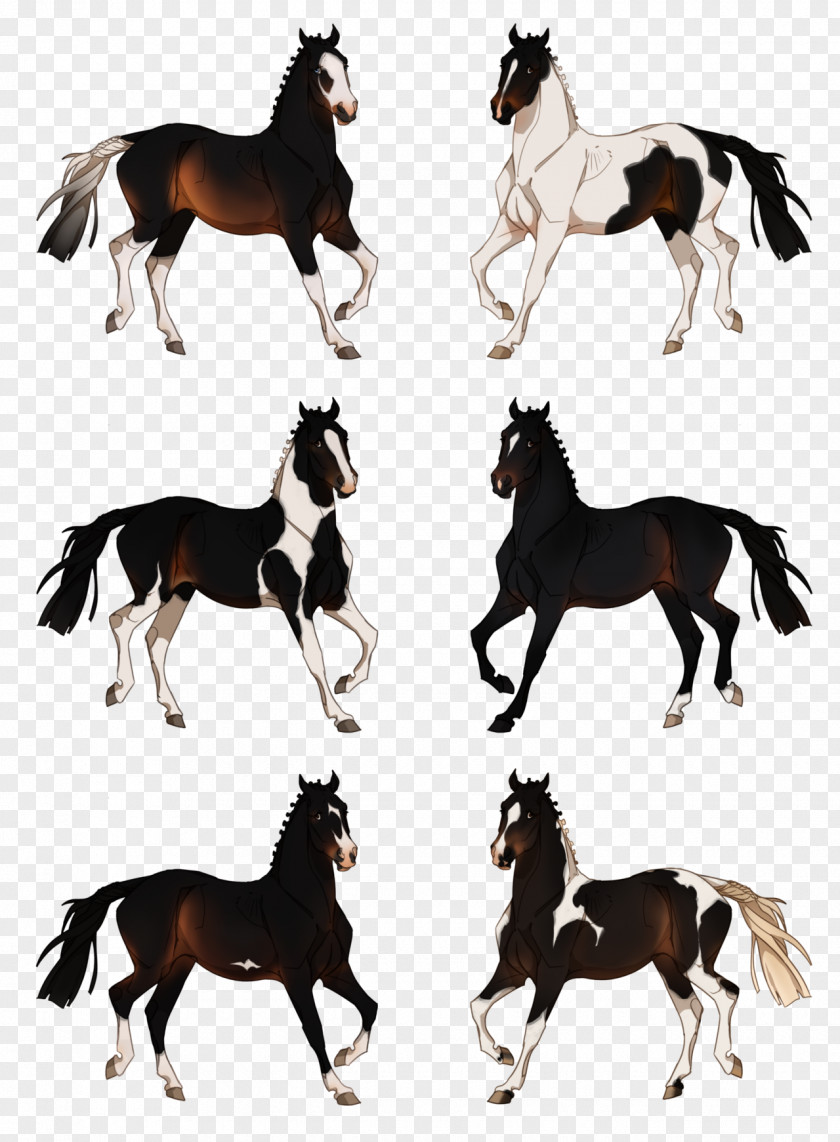 Mustang Stallion Mare Horse Tack Pack Animal PNG