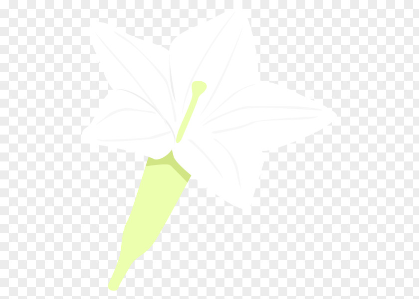 Product Design Leaf Graphics Line PNG