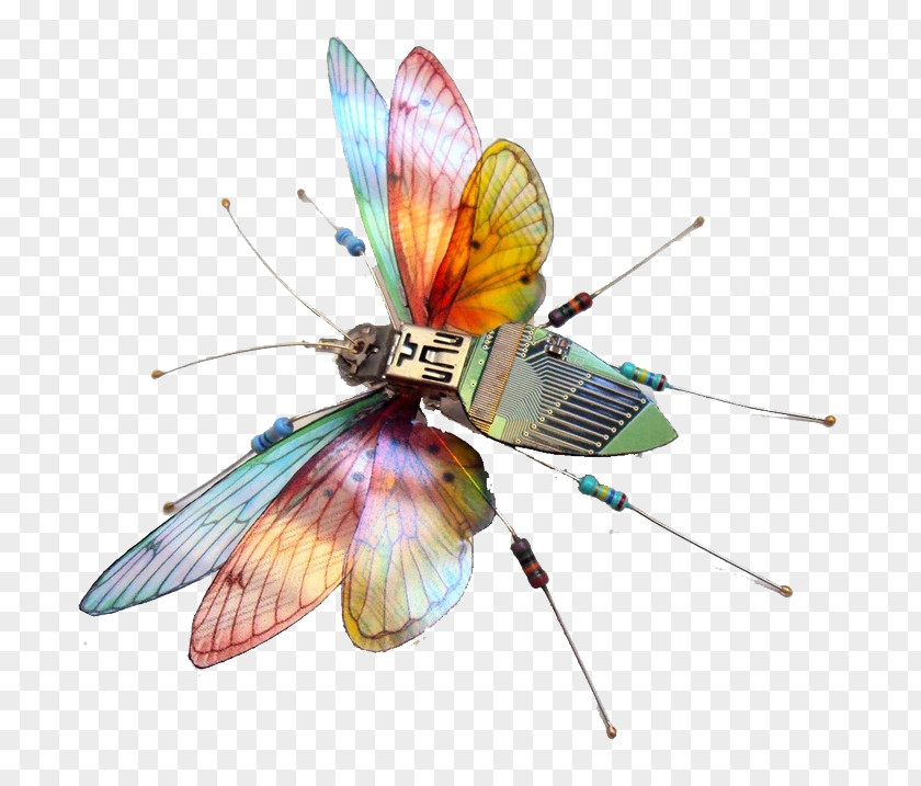 Cartoon Color Dragonfly Insect Printed Circuit Board Electronic Electronics Computer Hardware PNG