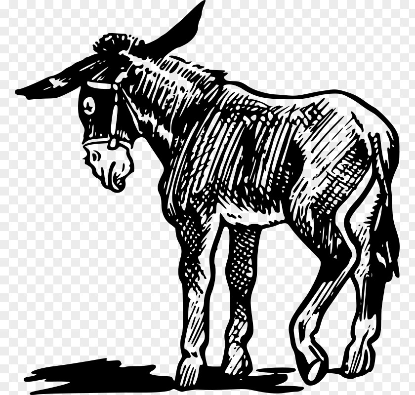 Donkey Clip Art PNG