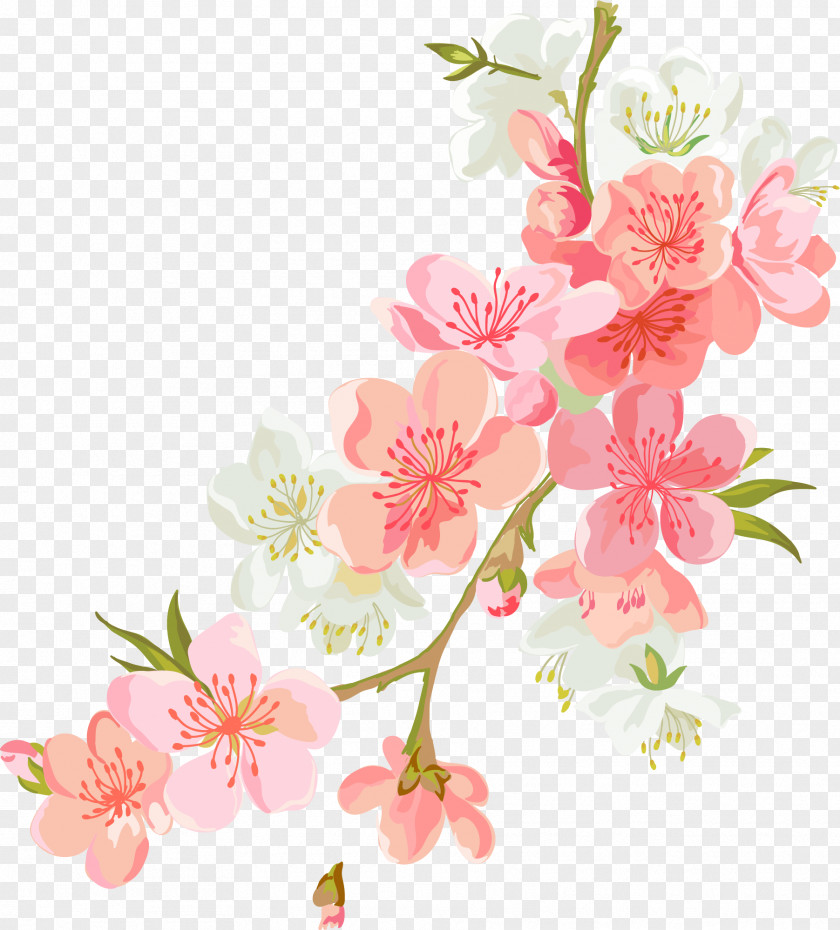 Hand-painted Colorful Flowers Flower Euclidean Vector Computer File PNG