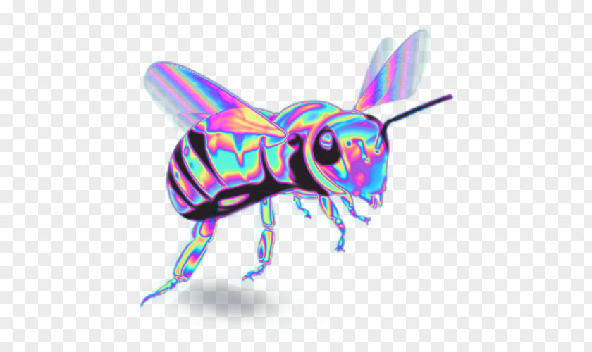 Holography Western Honey Bee Characteristics Of Common Wasps And Bees Insect PNG