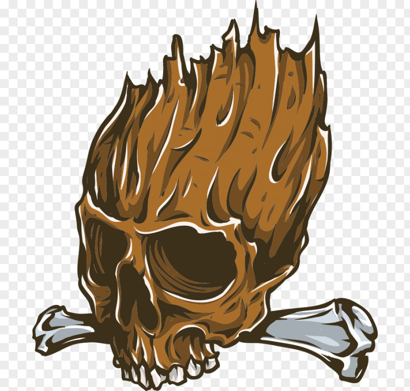 Skull Illustration Vector Graphics Image Flame PNG