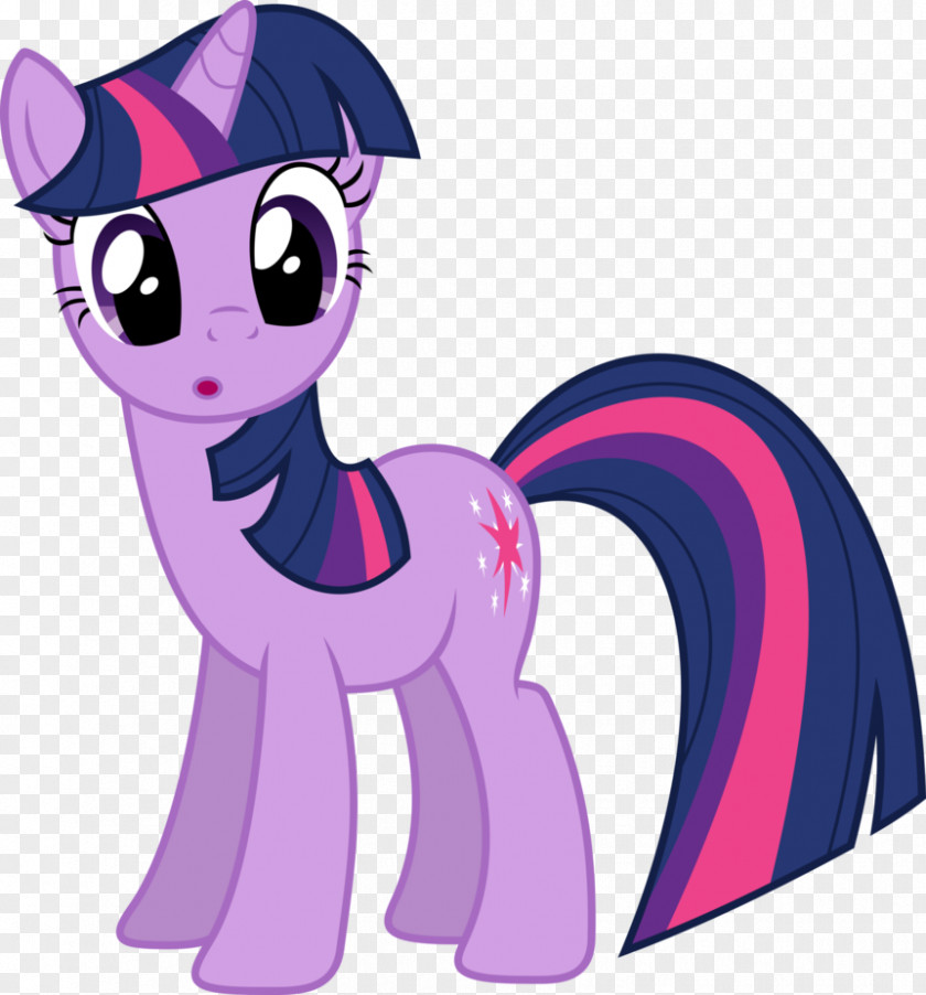 Twilight Sparkle Pinkie Pie Rarity Rainbow Dash PNG