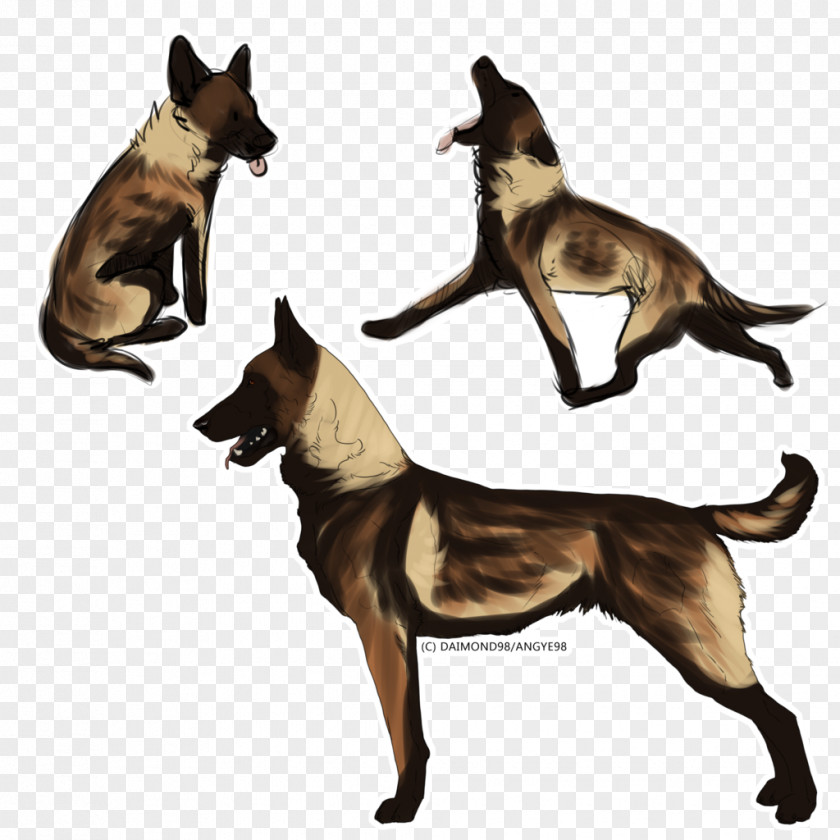 Cat Dog Breed Tail PNG
