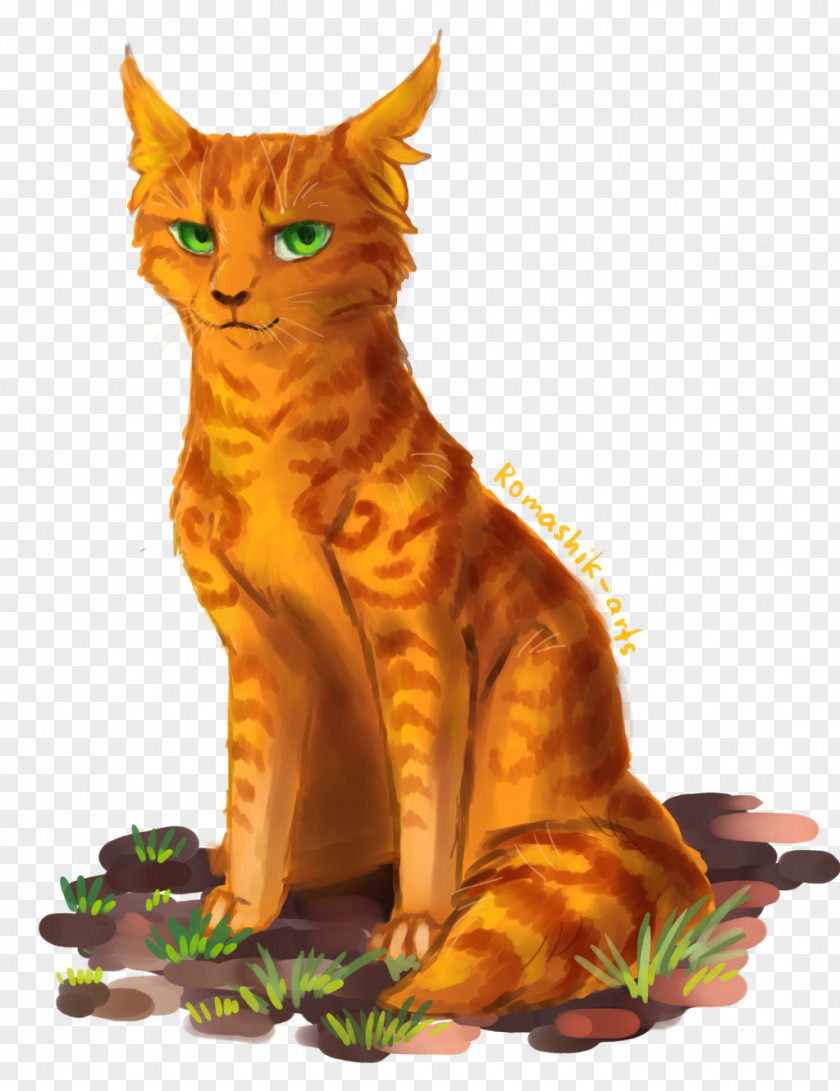 Cat Warriors Fire And Ice Firestar Erin Hunter PNG