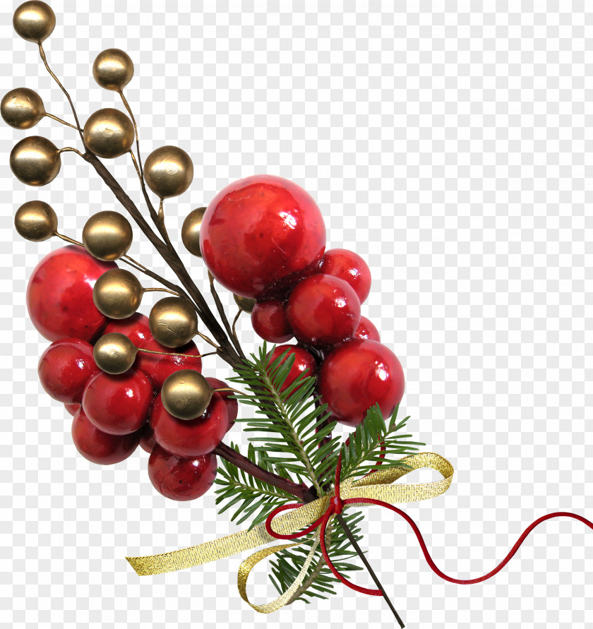 Christmas Cranberry Holiday PNG