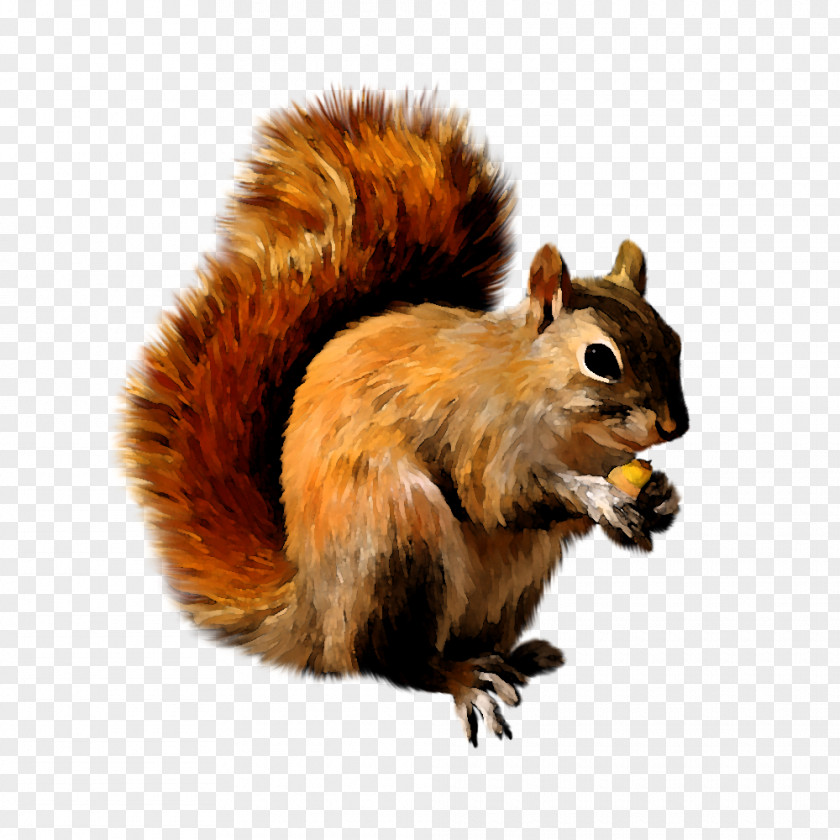 Hi-fi Squirrel Scrat Clip Art PNG