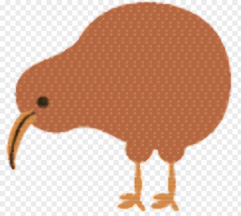 Kiwi Cartoon Bird PNG