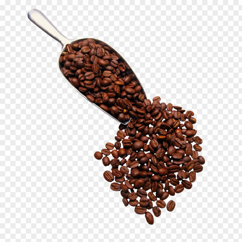 Scattered Coffee Beans Espresso Tea Cappuccino Cafe PNG