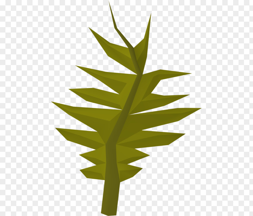 Swamp Old School RuneScape Wikia Plant PNG
