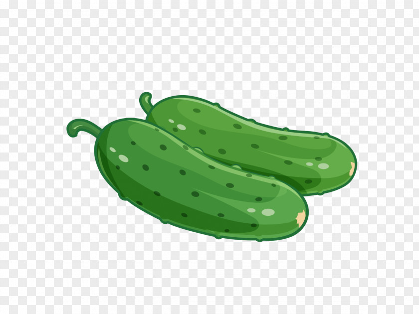 Vegetables Vector Cucumber Cartoon Vegetable Poster PNG