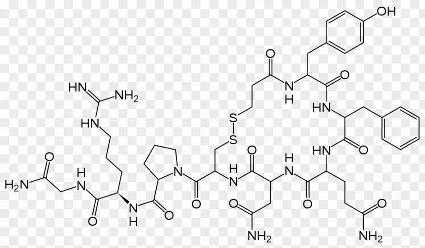 Demoxytocin T-shirt Molecule Orgasm PNG Orgasm, clipart PNG