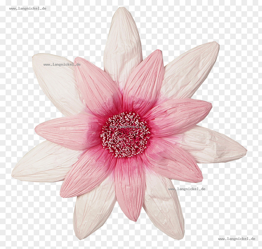 Flower Paper Petal Pink Blume PNG
