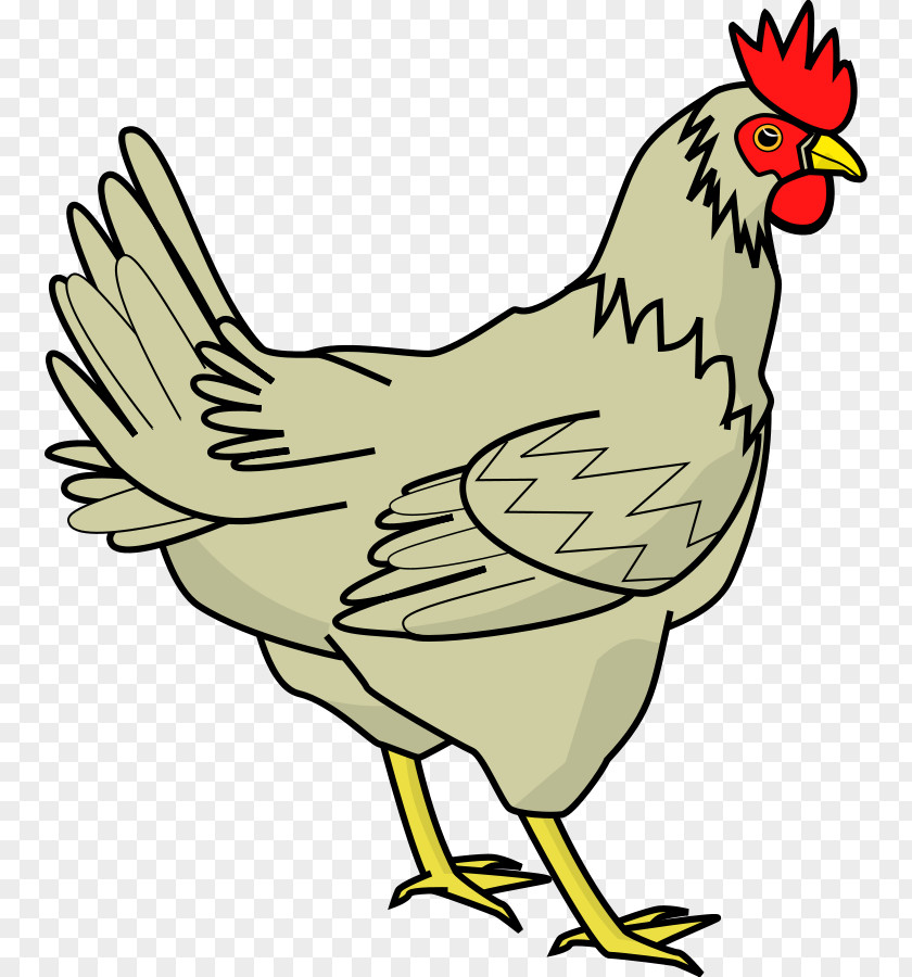 Hen Cliparts Chicken Meat Clip Art PNG