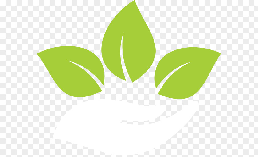 Leaf Logo Brand PNG