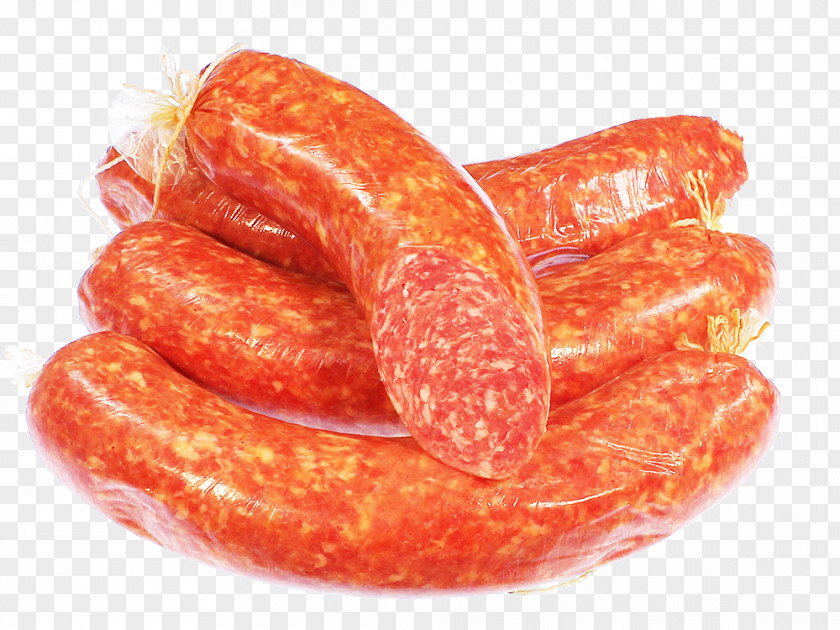Sausage Salami Mettwurst Knackwurst Bratwurst Braunschweiger PNG