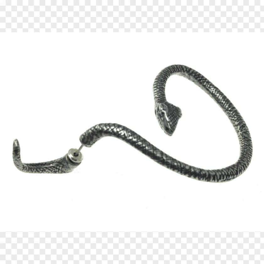 Snake Earring Bracelet Jewellery Silver PNG
